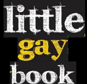 Little Gay Book